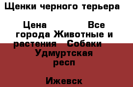 Щенки черного терьера › Цена ­ 35 000 - Все города Животные и растения » Собаки   . Удмуртская респ.,Ижевск г.